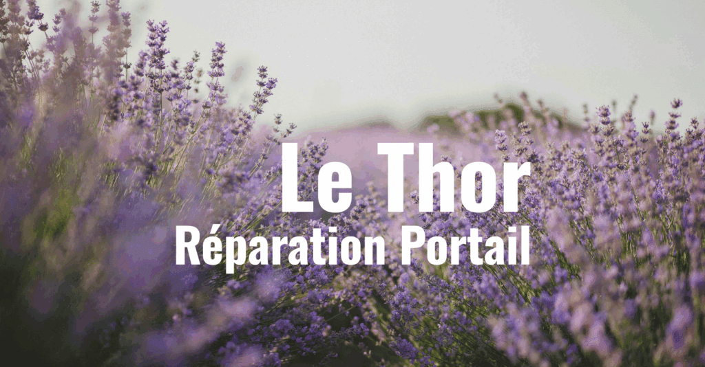 reparation portail le thor